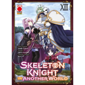 SkeletonKnightinAnotherWorld13